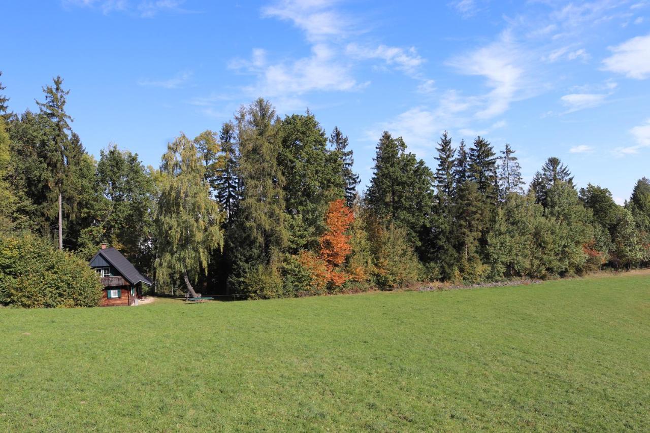 Gregor'S Ferienhaus Im Wald Edelschrott Exterior photo